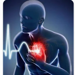 심장이빠운스빠운스